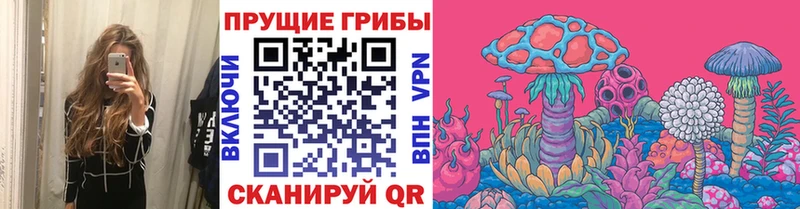 Галлюциногенные грибы Psilocybe  Купить закладки  Анапа 
